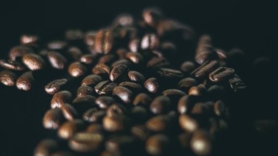 Agroforestry E-Library Aims to Inform Climate-Threatened Coffee Growers. Photo by A S M Jobaer (CC BY-SA 4.0)