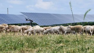 How a Solar Development Turned From Threat to Opportunity for an Illinois Farmer (news). Photo by Acciona