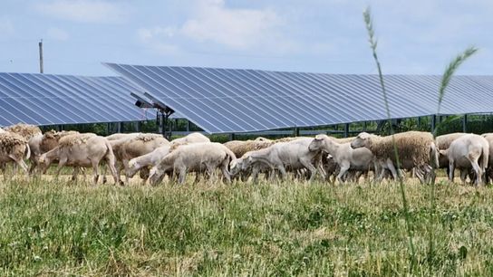 How a Solar Development Turned From Threat to Opportunity for an Illinois Farmer (news)