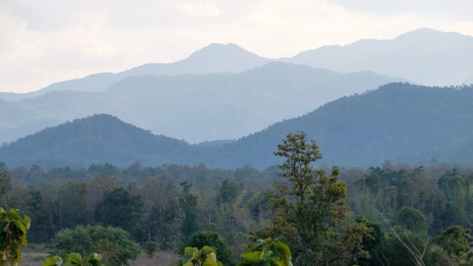Huai Kha Khaeng Wildlife Sanctuary with buffer area in the foreground.