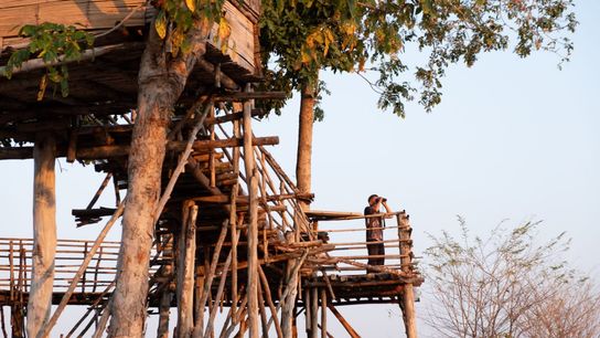 Boonlert Tianchang scans the landscape at a wildlife watching platform in Rabam subdistrict. Boonlert Tianchang scans the landscape at a wildlife watching platform in Rabam subdistrict.