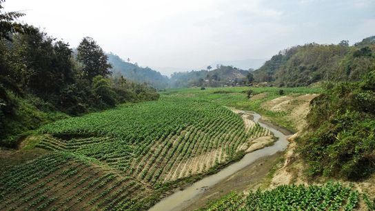 A stream flows through agricultural lands in CHT. Image not from Khagrachhari, for representational purposes only. A stream flows through agricultural lands in CHT. Image not from Khagrachhari, for representational purposes only.