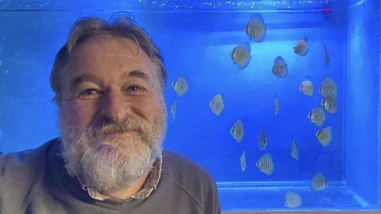Tim Haywood discusses fishes that he bred in captivity in England.