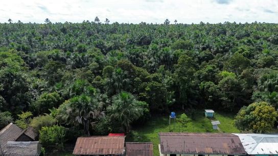 Aerial view of the Recreo community.