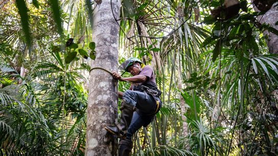 Peru Communities Combine Science and Ancestral Knowledge to Protect Climate-Crucial Peatlands (news)