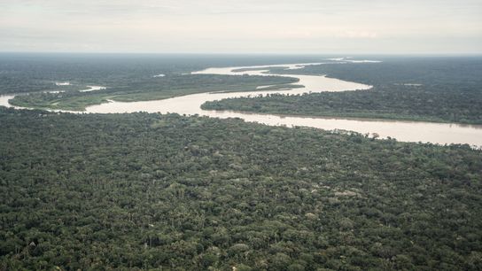 Datem del Marañón is one of the most biodiverse areas in Peru.