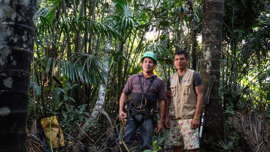 Segundo Chanchari has visited Kietre Gonzales’s community to share new knowledge about harvesting aguaje.