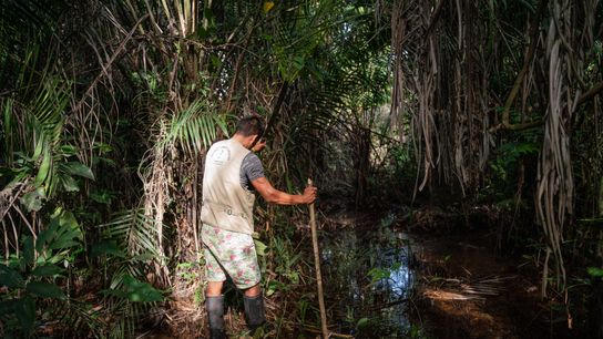 Gonzales leaving his community’s aguajal and peat bog area.